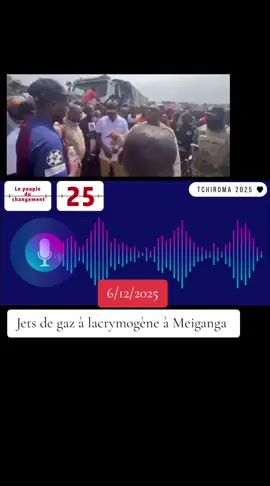 Meiganga Cameroun, situation s'intensifie 