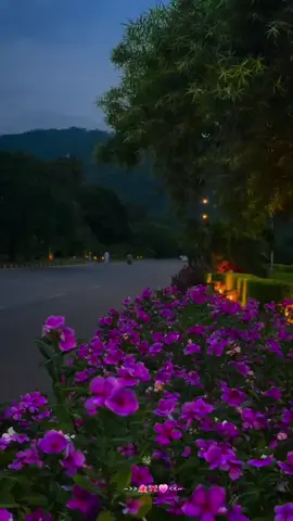 Feel the lyrics🎧🎶🖤#fyp #viralvideo #trending #songlyrics #tiktok 