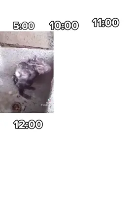 para ti @bbre🌸🌷 