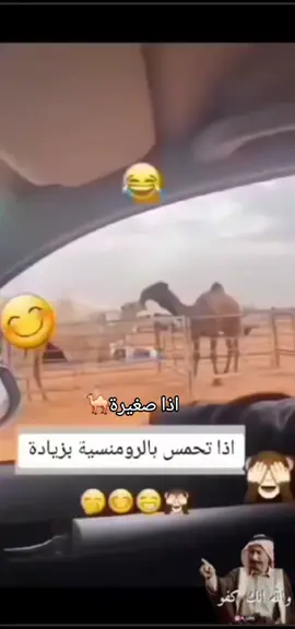 #اكسبلور #السعودية🇸🇦 #لايك #اكسبلورexplore #hasan 