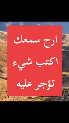 القارئ ريان المحيسني #ريان_المحيسني #سورة_الصافات #قران_كريم_ارح_سمعك_وقلبك #fypシ゚ #quran 