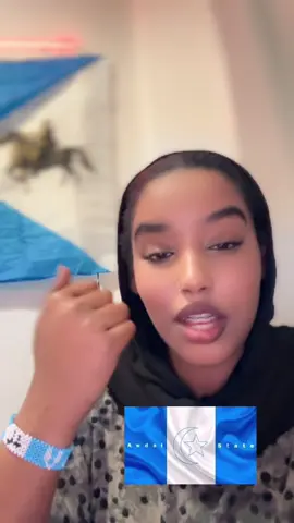 Boorama waa dad nasab ah waxa loo gaysaniyana waa khalad cad ee rabbi haw gargaaro angu waan garab taaganhy walaaladay💙💙#somalitiktok #khaatumostate🐎🇸🇴 #awdal 