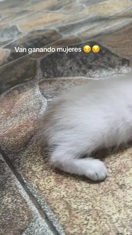 #colombia #hyp #paratiiiiiiiiiiiiiiiiiiiiiiiiiiiiiii #fyp #fyp 