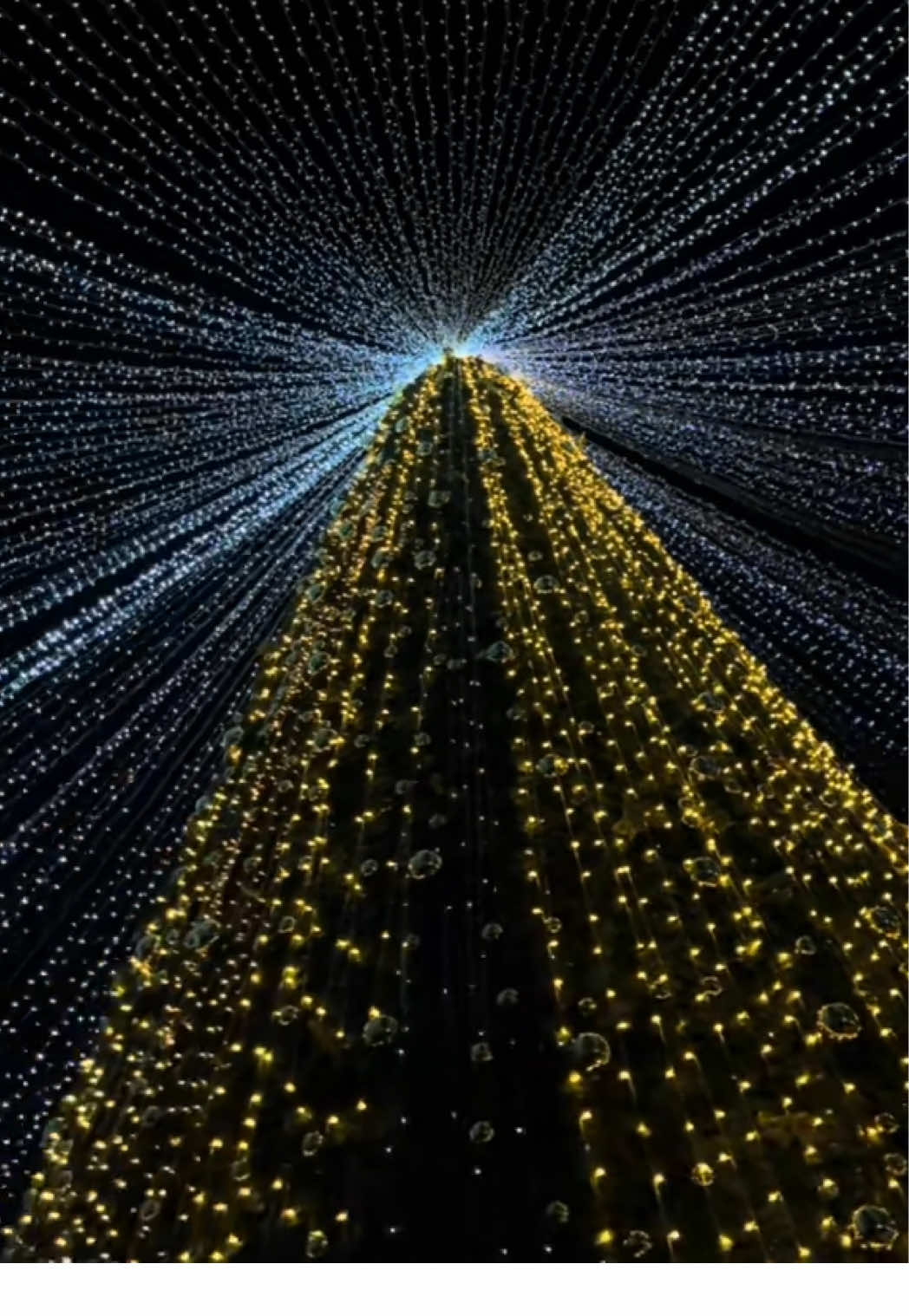 Naxçıvan❤️‍🔥#naxcivan #kesfet #fyp 