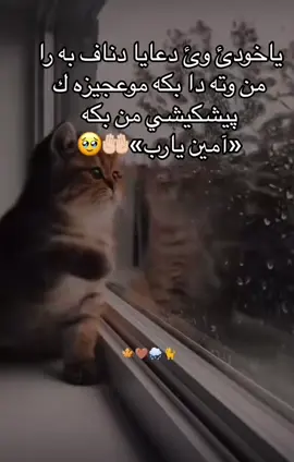 #گوهداربـــــــــــــە🤍 #🥺🥺🥺 ##في هذا اليوم 