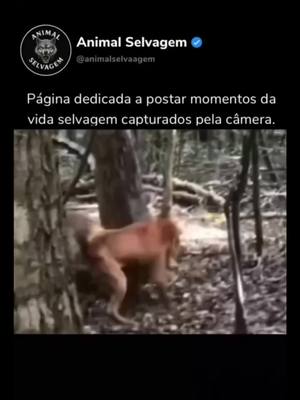 Clique em Saiba Mais