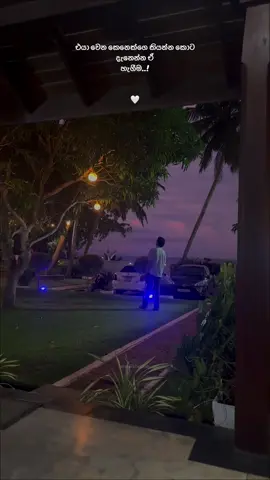 🙂💔 #CapCut #ftpppppppppppppppppppppppp #mogayannasanthapawv #rush #newtrend @Naditha_🦕 