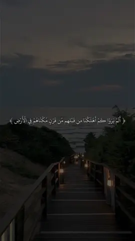 القارى ماهر المعيقلي 🖤✨#quran #fyp #قران #sb3zaid0 