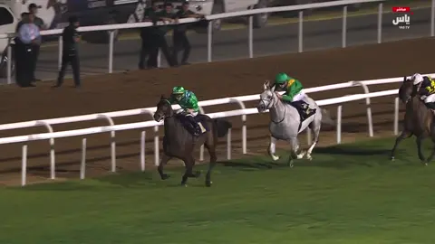 إتش إم الشاهين ‏(HM Alchahine) الأب : المرتجز الأم : الشيحانة بنت منجز(أم اتش إم الظلماء) الجدة : ألب الشام بنت كسبروي[ أم السيف والجاسمي والمازنة(أم الفهدة وبادي الشام والطرفة(أم غضنفر الشام) وأم نمرة الشام ] الخط : SAINTE LAURENCE FR مواليد : ٢٠٢٠ المالك : الاسطبلات الوطنية المولد : حسان موصلي وندى موصلي تصنيف(١٣١) الإنجازات : ١١ إنتصارات ومركزين من ١٣ مشاركات - بطل كأس رئيس الدولة بأبوظبي(الفئة الأولى) - بطل بطولة الإمارات(الفئة الأولى) - بطل كأس قطر - جائزة دراغون(الفئة الأولى) - بطل كأس رئيس الدولة بإيطاليا(الفئة الثانية) - بطل كأس رئيس الدولة بألمانيا(الفئة الثانية) - بطل ديربي أبوظبي(ليستد) - بطل بطولة أبوظبي(ليستد) - بطل سباق مشروط(٣ مرات) - بطل سباق مبتدئة - وصيف كأس قطر العالمي(الفئة الأولى) - ثالث سيف حضرة صاحب السمو أمير قطر(الفئة الأولى) إعداد/م. مسلم علي قطن ٢٠٢٥/١٢/٦ #arabianhorse #horseracing #arabianhorseracing #arabianhorserace #stallion      ‎     ‎ ‏⁦‪‬⁩  ⁦‪‬⁩‬⁩   ‎ 