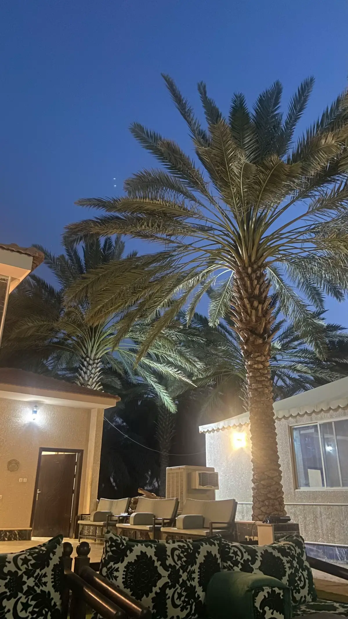 ياشين المتميلحين #عشوائيات #مالي_خلق_احط_هاشتاقات ##مزرعة #تصوير_ايفون_11 #تبوك 