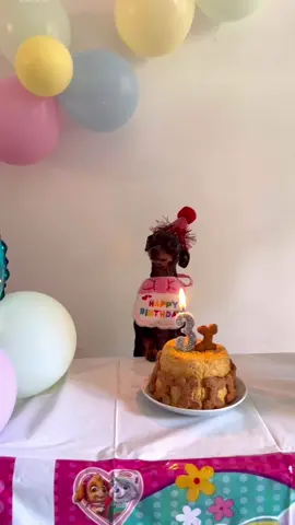 Amoleeeee de mi vida feliz cumpleaños ❤️😍🥳