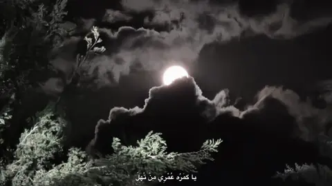 #CapCut #iraq #erbil #حسام_الرسام #iraqisong 