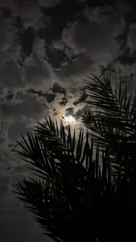 #fyp #foryou #foryoupage #قمر #ليل 