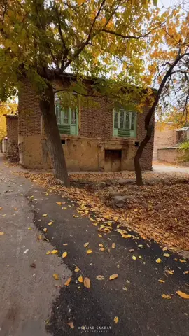 مساء الخير والعافية 