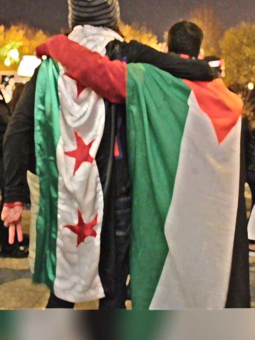 #سوريا #فلسطين #palastine🇵🇸 #syrien #كرة-