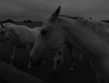 Xwena mn 🔥🥲 #typ #fyp #foryou #foryoupage #xoziyakk 