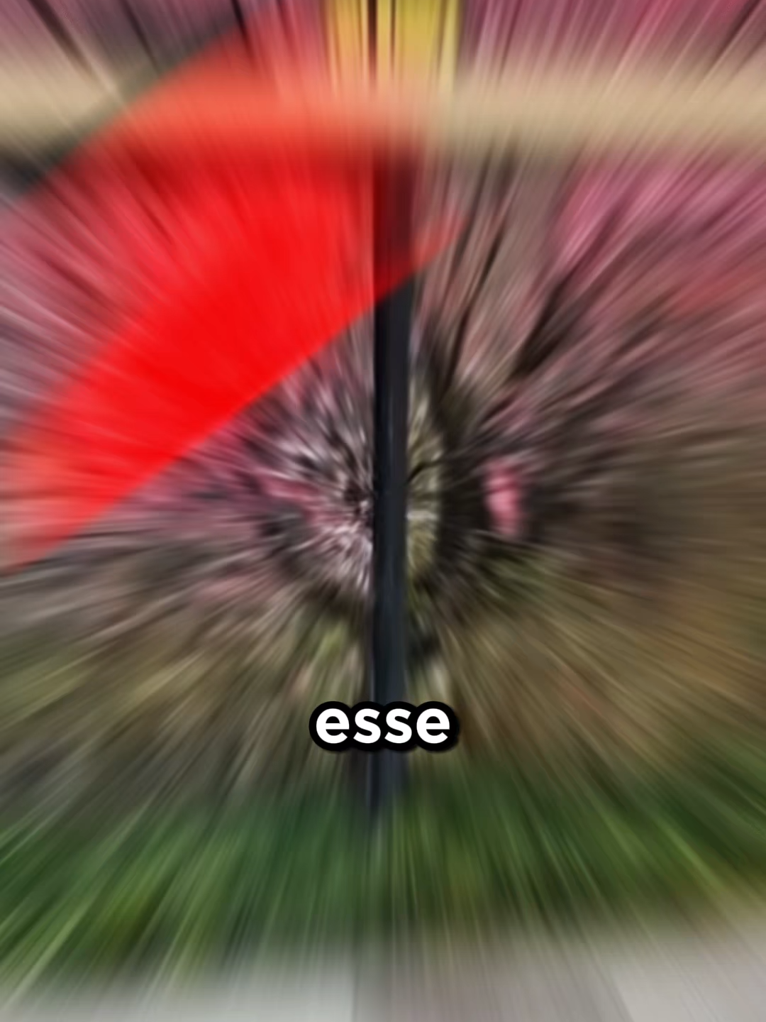 Esse cara tem um talento surreal! 😯 #foryou  #fyp #curiosidades