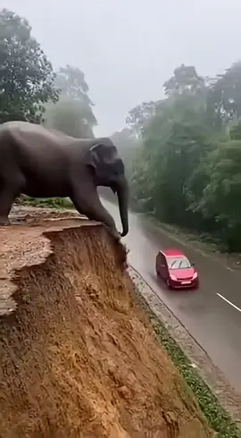 #trending #fyppppppppppppppppppppppp #growmyaccount #ai #foryoupage 