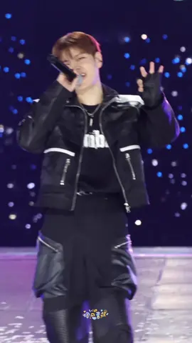 bounce back🐶🫶🖤🤍 #straykidsAAA2025 #seungmin 