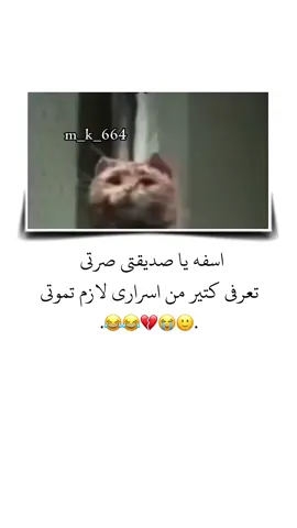 اسفه يا صديقتي لازم تموتي 😭😂 . . #الشعب_الصيني_ماله_حل😂😂 #تصميمي #ستوريات #انستا #اكسبلور 