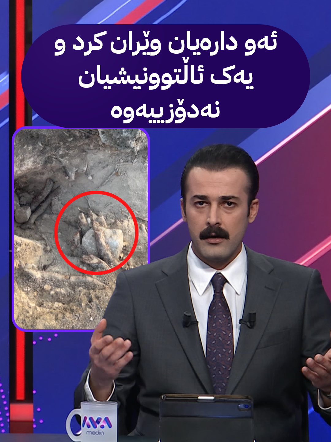 ئەو دارەیان وێران کرد و یەک ئاڵتوونیشیان نەدۆزییەوە