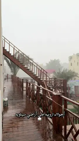 اجواء اروبيه علي أراضي سيناويه ⛈️♥️😍 #ninjadahab #dahabegypt #كامب #lighthousedahab #fyppppppppppppppppppppppp 