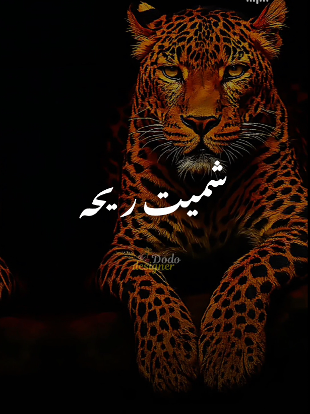 #كلماتي✍ #شاميت_ريحه_غيره_وخيانه 💔#كلمات #وائل_المرشدي #القلم_الصعب✍️🔥 