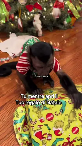 Tu mentre apri il tuo regalo di Natale 