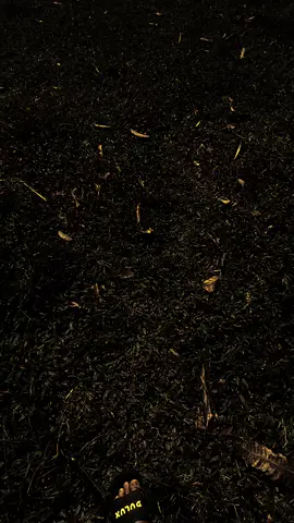 “ucapannya memang sederhana namun bisa membuatmu meneteskan air mata.” #fyp #arabicsong #langitaesthetic #fypage #lewatberanda 