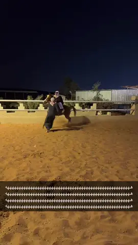 #خيل_وخياله🐎 