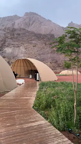 #حايل #4u #fyp #explore #اكسبلور 