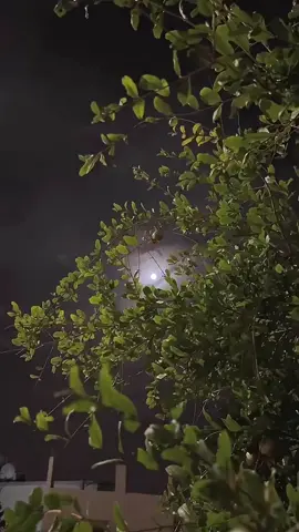 #اغاني #اغاني_عراقيه #اغاني_عربيه #