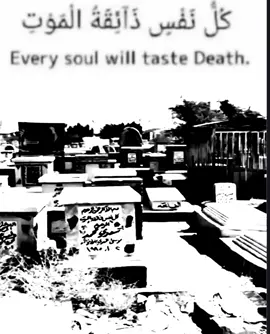 غفله من ايديـه 😓. #fyp 