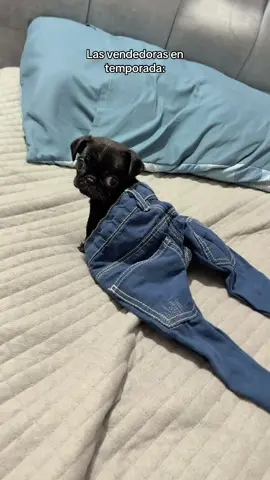 Si le quedó lindo o no? #comedia 