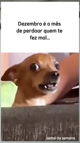 kkkk #humortiktok #rir #perdoar 