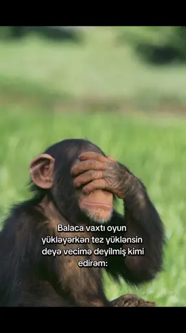 çox real dı axı 🥀#yeməliyemək #balacatötəş #kesfet #oyun #tutsun 