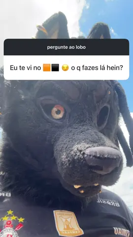 boto fé não #m4jorthewolf 