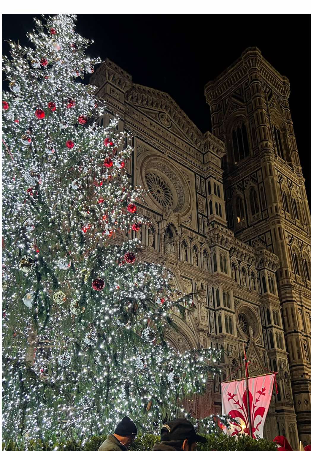 ✨Oggi a Firenze inizia ufficialmente il Natale con l’accensione degli alberi  #firenze #firenzeeventi #nataleafirenze #mercatinidinatale #firenzecity 