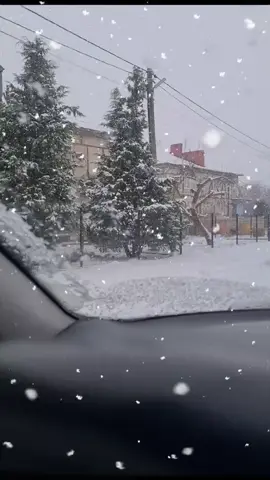 #влесуродиласьелочка  #скороновыйгод  #зима