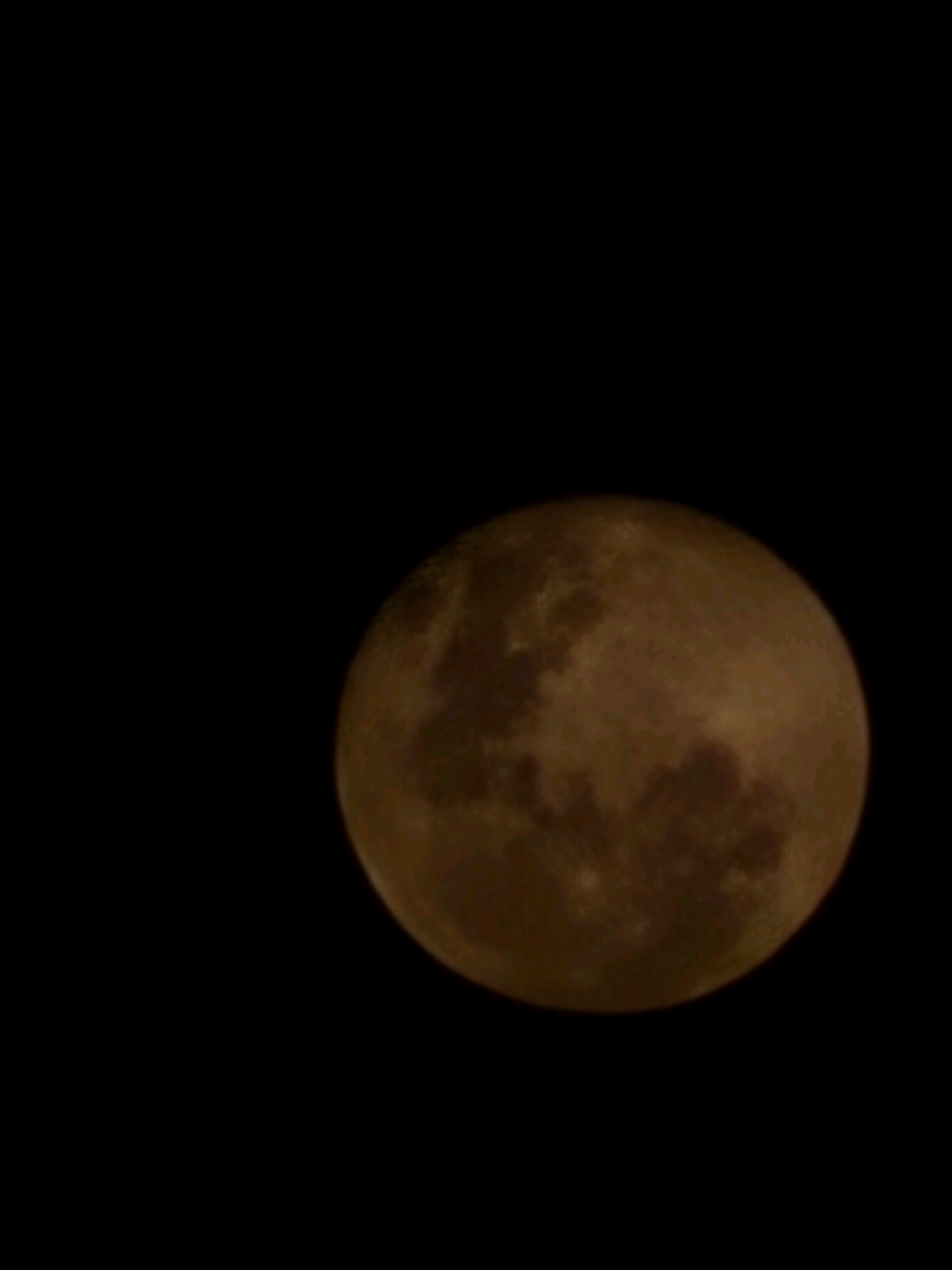 queria ter feito snake bits😭💔 #piercing #foryou #fyp 