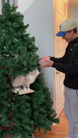 the age old problem has been solved 