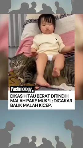 #kucing #jail #kucinggemoy #kucinglucu #kucingimut 