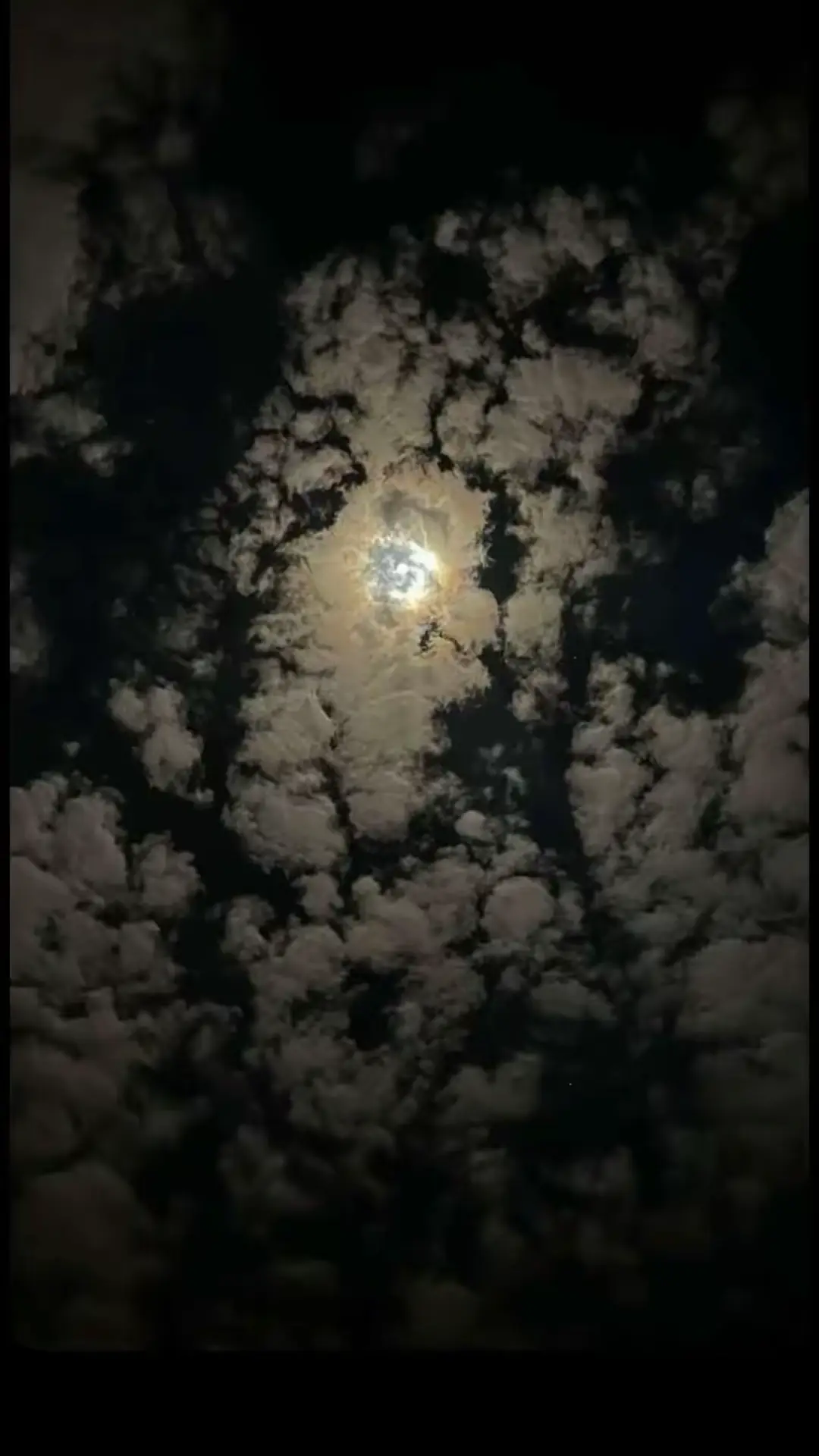 على ضو القمر نجلس 