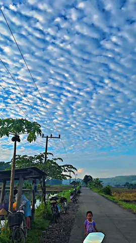 Sawah ombo pajero limo🤲 #jombang #petanimuda #fyp 