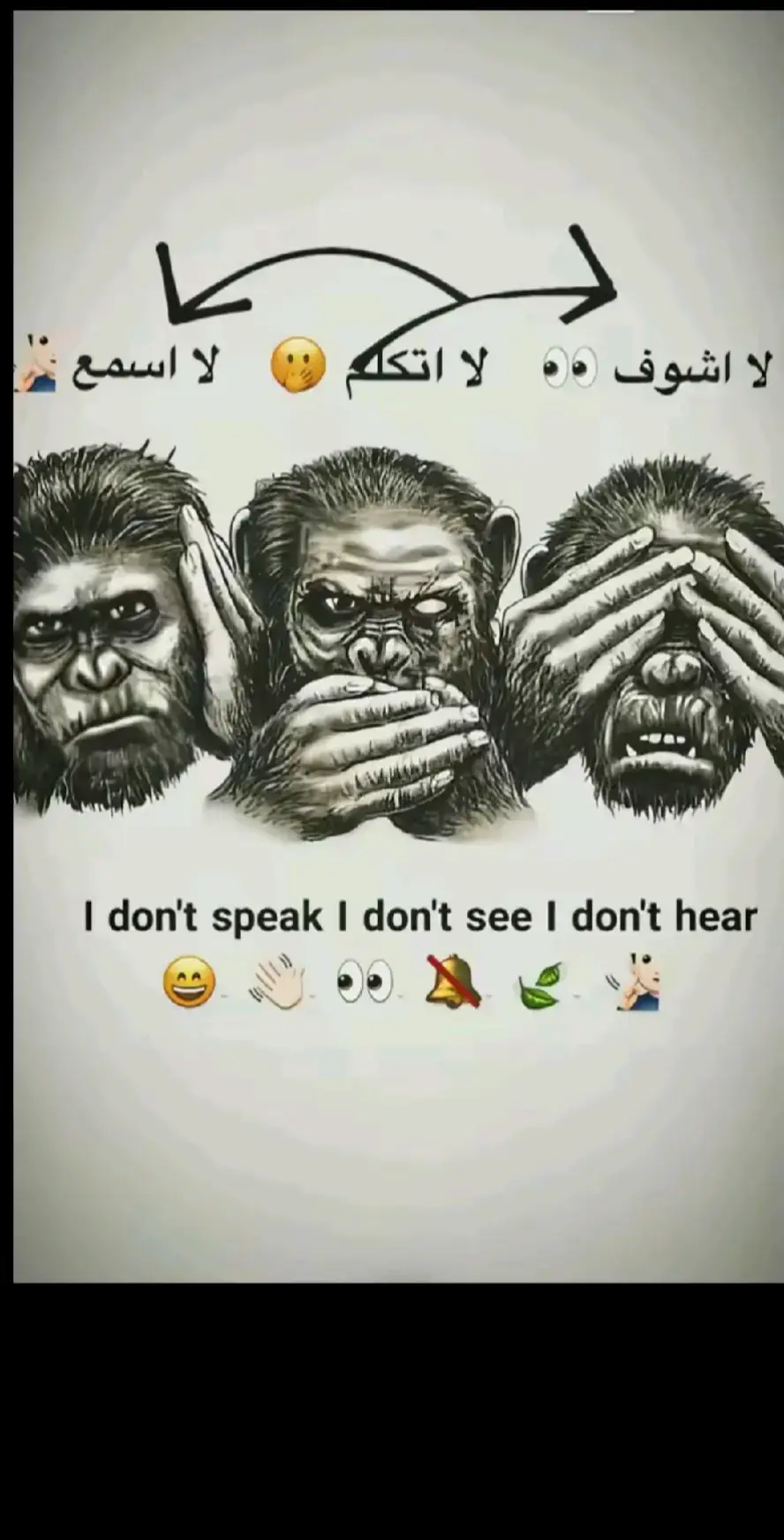 👤🔱1️⃣2️⃣