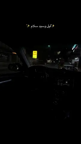 ابداع سيد سلام بكل قصيده دماااار😔#ضاعت_عايله #سيد_سلام_الحسيني #ليل #تصويري #تصاميم 