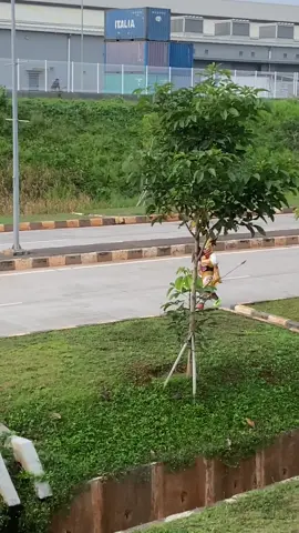 Joss lekk😂 #xyzabc #zilongmobilelegend #masukberanda 