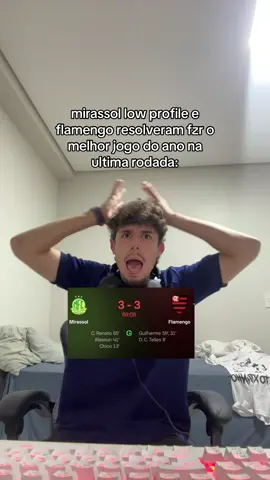 eu perdi isso😭 #mirassol #flamengo 