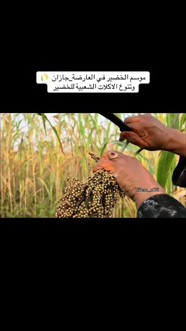 التعليقات لكم + دعم المقطع 🎁🌾🤍🥹#خضير_جازان #جازان_العارضه #جازان #اكسبلور 