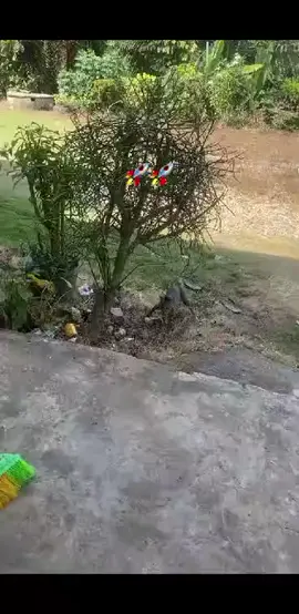 #fypシ゚  Pov Natal Kalan Agora 🤪🍻